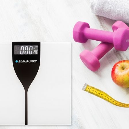 art_blp-pae-bas-bp5002_1