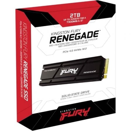 art_kin-ssd-fury-ren-ssd-2tb-ds_1