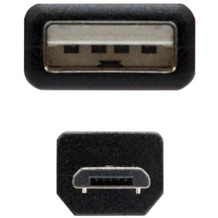 art_nan-cab-10-01-0501_1