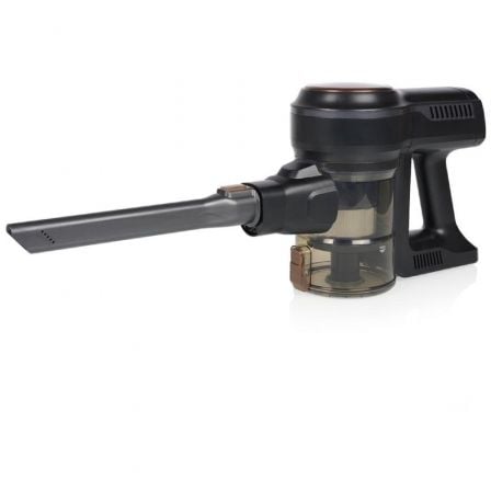 art_prin-pae-asp-339390_1