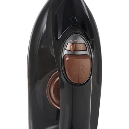 art_prin-pae-pla-322890_1