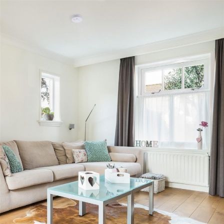 art_smw-detect-humo-10-100-41_1