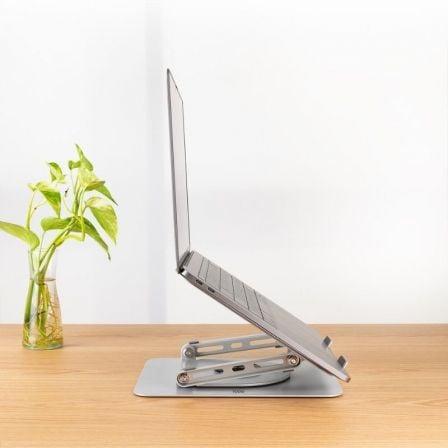 art_too-sop-ph-dafne-s_1