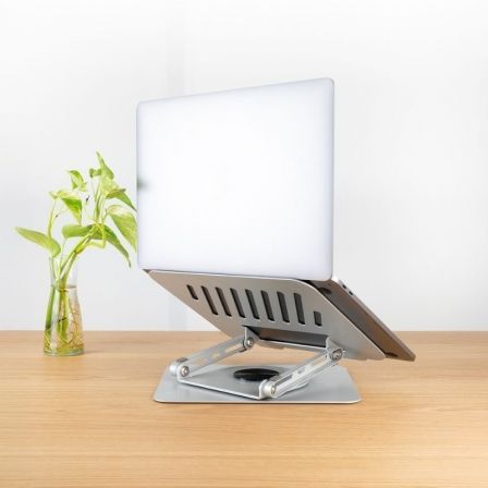 art_too-sop-ph-dafne-s_1