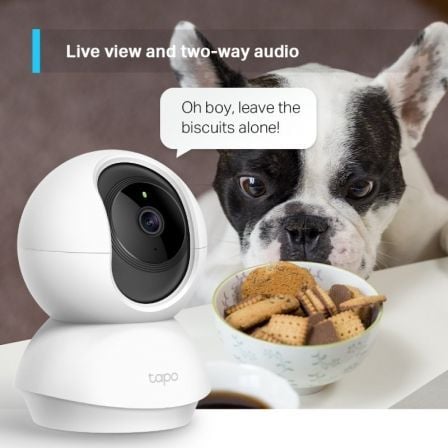 art_tpl-cam-tapo-tc70_1